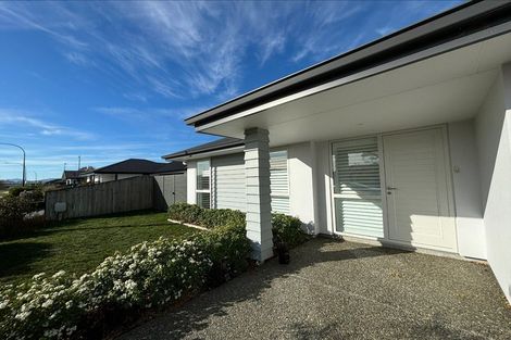 Photo of property in 45 Berryfield Drive, Richmond, 7020