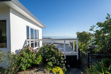 Photo of property in 64 Tresillian Avenue, Marybank, Nelson, 7010