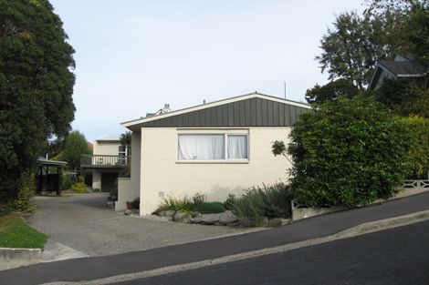 Photo of property in 18a Garfield Avenue, Roslyn, Dunedin, 9010