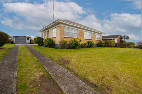 Photo of property in 58 Neal Street, Putaruru, 3411