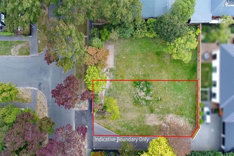 Photo of property in 40 Rayburn Avenue, Papanui, Christchurch, 8053