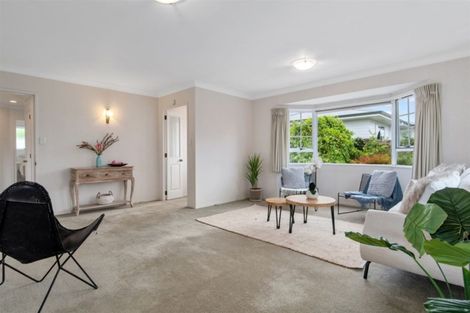 Photo of property in 11 Ngahere Street, Otumoetai, Tauranga, 3110