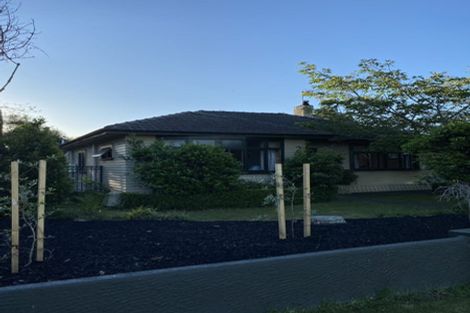 Photo of property in 53 Nixon Street, Hamilton East, Hamilton, 3216