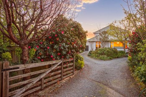 Photo of property in 11 Draper Street, Richmond, Christchurch, 8013