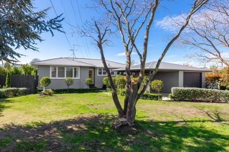 Photo of property in 40 Fulton Street, Springlands, Blenheim, 7201