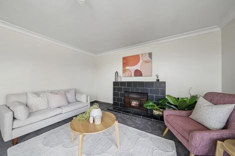 Photo of property in 96 Tiro Tiro Road, Levin, 5510