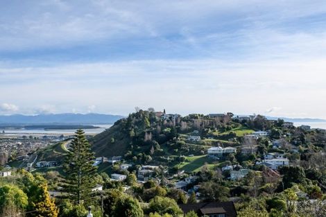 Photo of property in 60 Newman Drive, Enner Glynn, Nelson, 7011