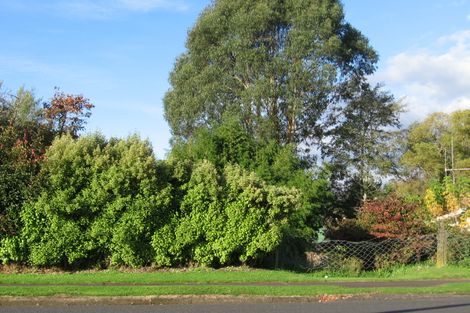 Photo of property in 13 Papanui Street, Tokoroa, 3420