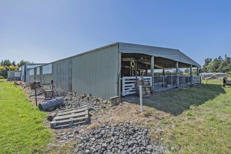 Photo of property in 17 Dalbeg Road, Balcairn, Amberley, 7482