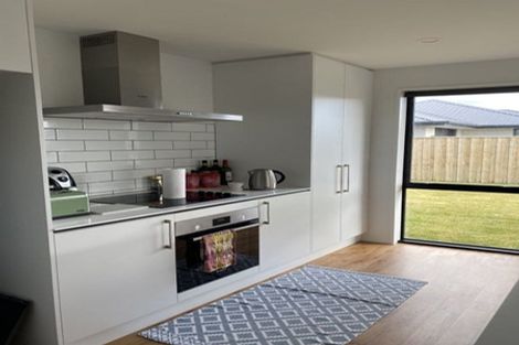 Photo of property in 47 Bonecrusher Street, Lincoln, 7608