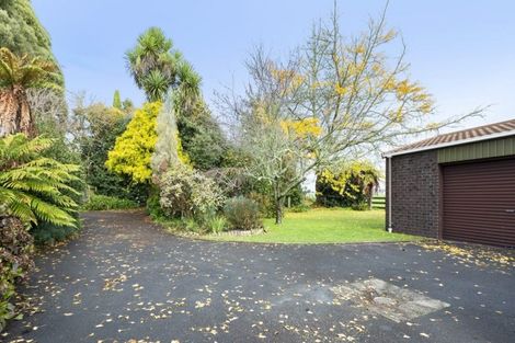 Photo of property in 49 Sheffield Street, Matamata, 3400