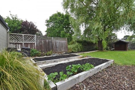 Photo of property in 42 Sydney Street, Windsor, Invercargill, 9810