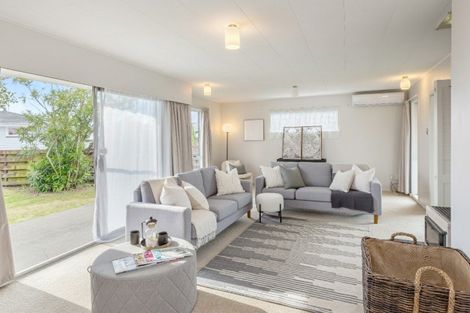 Photo of property in 12 Allenby Street, Lansdowne, Masterton, 5810