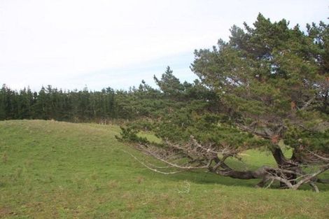 Photo of property in 2 Harrys Lane, Pukenui, 0484