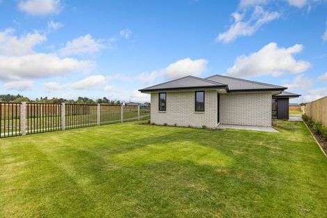 Photo of property in 49 Greig Crescent, Amberley, 7481