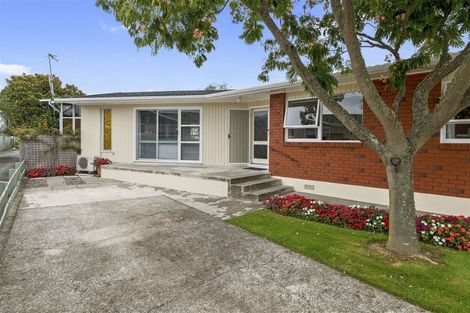 Photo of property in 19 Burn Street, Levin, 5510