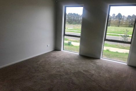 Photo of property in 4 Taepu Road, Pukekohe, 2120