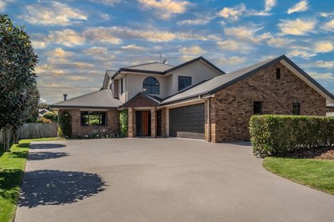 Photo of property in 8 Cooper Crescent, Cambridge, 3434