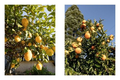 Photo of property in 12 Watling Street, Gate Pa, Tauranga, 3112