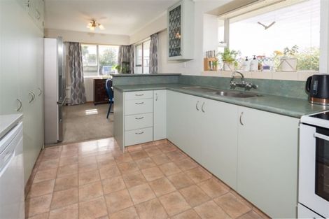 Photo of property in 72 George Street, Tinwald, Ashburton, 7700