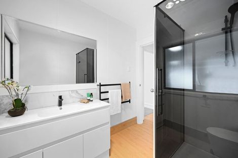 Photo of property in 64 Cook Street, Hamilton East, Hamilton, 3216