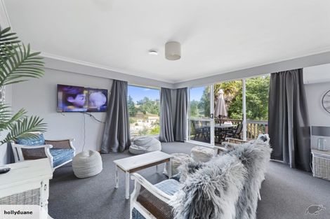 Photo of property in 107 Main Road, Tirau, 3410