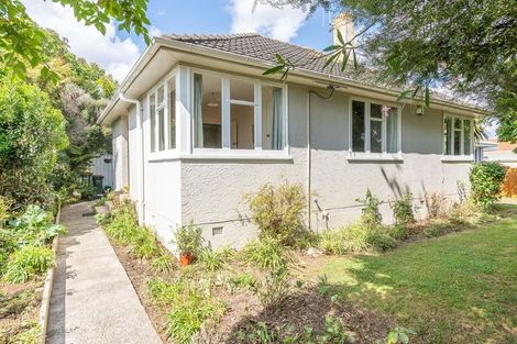 Photo of property in 128 Clarkin Road, Fairfield, Hamilton, 3214