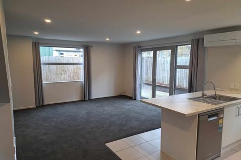 Photo of property in 28b Hastings Street West, Sydenham, Christchurch, 8023