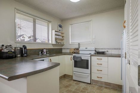Photo of property in 4 Mcarthur Street, Terrace End, Palmerston North, 4410