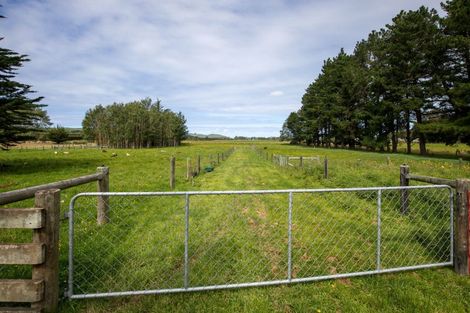 Photo of property in 657 Domett Road, Domett, Cheviot, 7382