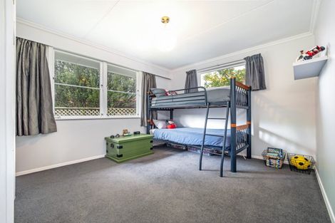 Photo of property in 47 Alfred Street, Roslyn, Palmerston North, 4414