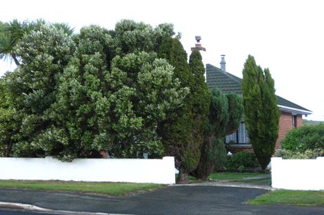 Photo of property in 264 Highcliff Road, Shiel Hill, Dunedin, 9013