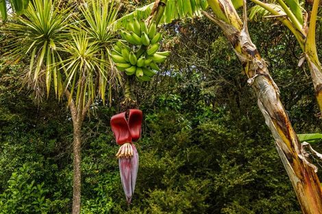 Photo of property in 409 Puketotara Road, Waipapa, Kerikeri, 0295