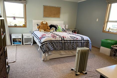 Photo of property in 29 Hinau Street, Maeroa, Hamilton, 3200