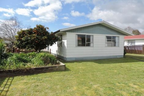 Photo of property in 75 James Henry Crescent, Huntly, 3700