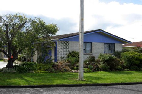 Photo of property in 90 Hillcrest Street, Solway, Masterton, 5810