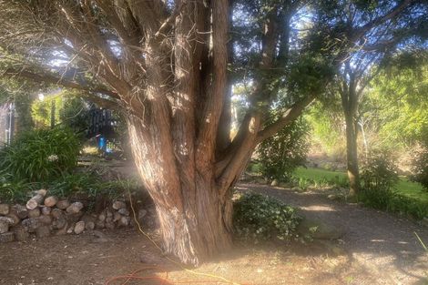 Photo of property in 13 Roebuck Rise, Broad Bay, Dunedin, 9014