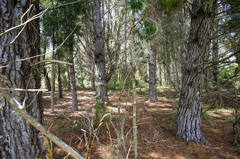 Photo of property in 538 Waiwhero Road, Ngatimoti, Upper Moutere, 7175