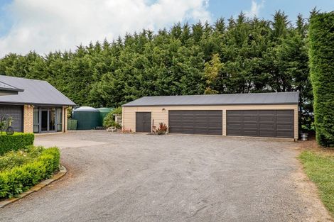 Photo of property in 41 Bridge Road, Greendale, Christchurch, 7671