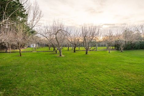 Photo of property in 6 Greig Street, Pleasant Point, 7903