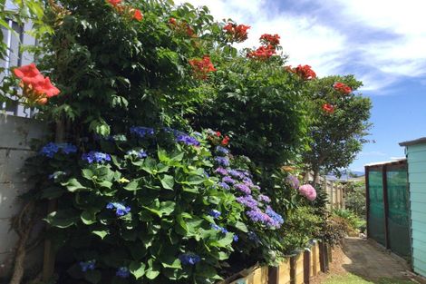 Photo of property in 104 Hays Place, Thames, 3500