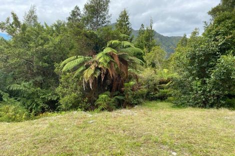 Photo of property in 5 Mokihinui Preserve, Seddonville, Westport, 7891