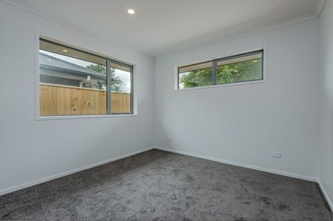 Photo of property in 30b Duke Street, Levin, 5510