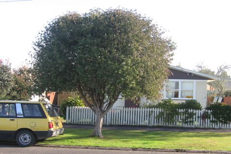 Photo of property in 16 Yvonne Street, Melville, Hamilton, 3206