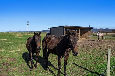 Photo of property in 1164 Thornton Road, Matata, Whakatane, 3194