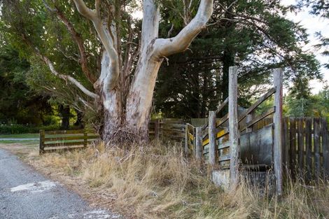 Photo of property in 320 Upper Plain Road, Upper Plain, Masterton, 5888