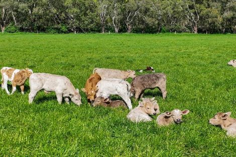 Photo of property in 297 Pannetts Road, Springston, Christchurch, 7674