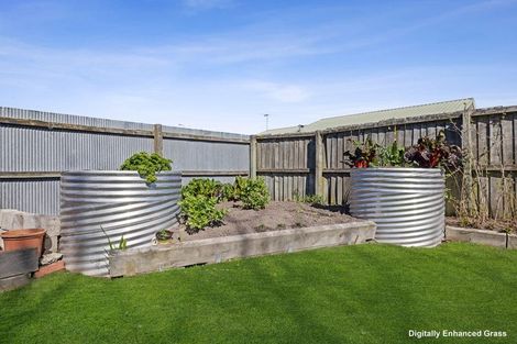 Photo of property in 3 Wallace Street, Bryndwr, Christchurch, 8053