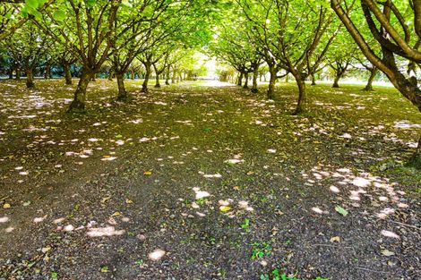 Photo of property in 459 Flora East, Makarewa, Invercargill, 9876