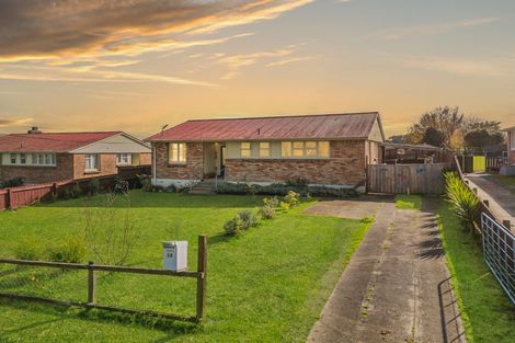 Photo of property in 14 Hamilton Street, Te Aroha, 3320